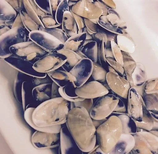 Bonito Centrico Y Cerca De La Playa En Fuengirolamalaga 丰希罗拉