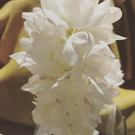 Bonito Centrico Y Cerca De La Playa En Fuengirolamalaga * Fuengirola