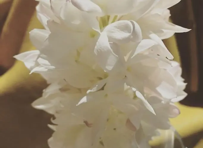 Bonito Centrico Y Cerca De La Playa En Fuengirolamalaga * Fuengirola